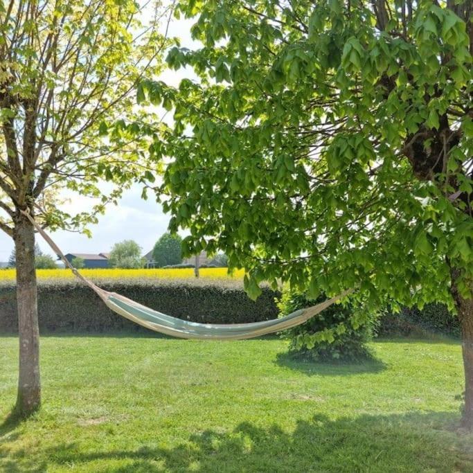 Grande Maison De Plain Pied Avec Jardin Arbore. Champignelles Ngoại thất bức ảnh